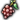 taihai.png