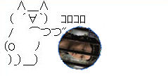 wife2.jpg
