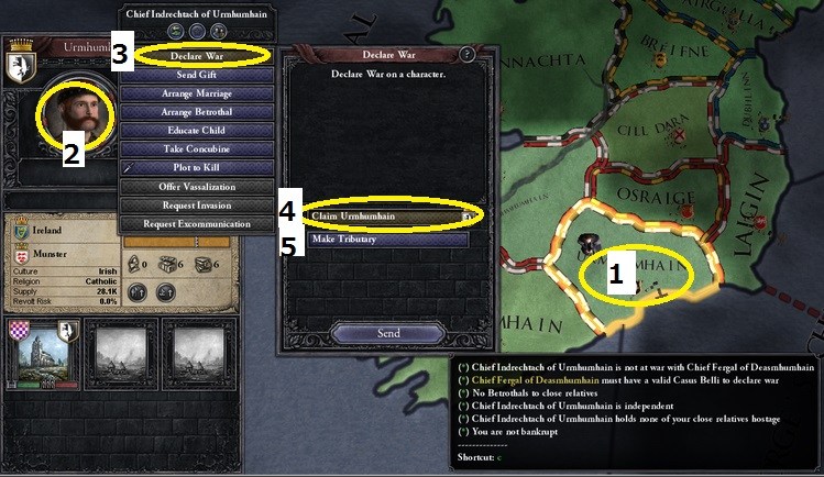 31.jpg