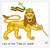 lion.jpg
