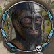 Toste.png