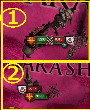216.jpg